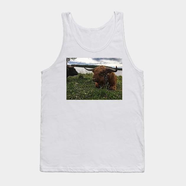 Scottish Highland Cattle Bulls 2038 Tank Top by SaarelaHighland